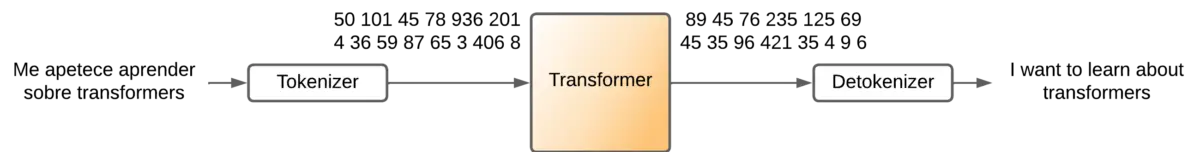 Transformer - black box - tokenizers