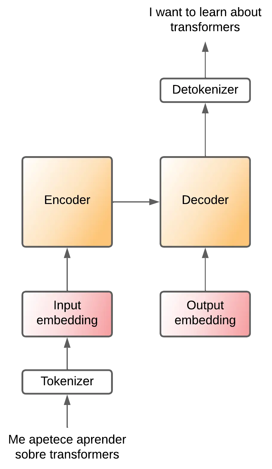 Transformer - encoder-decoder (detokenizer)