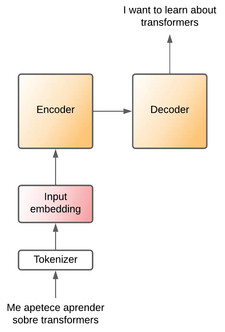 Transformer - encoder-decoder (no detokenizer)